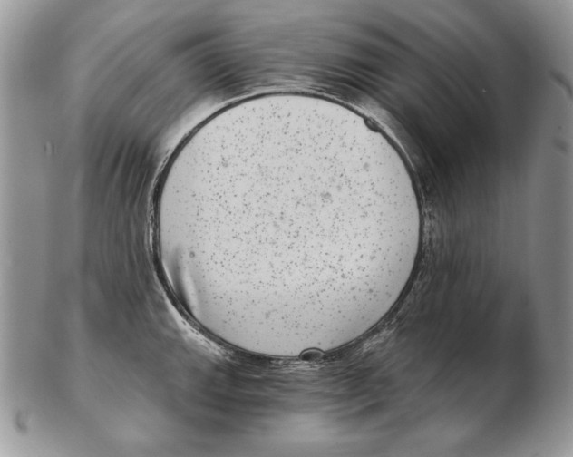 X0000102401143200808221842