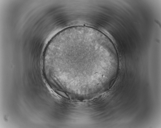 X0000102401144200808221842