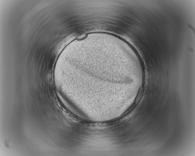 X0000102401145200808221842