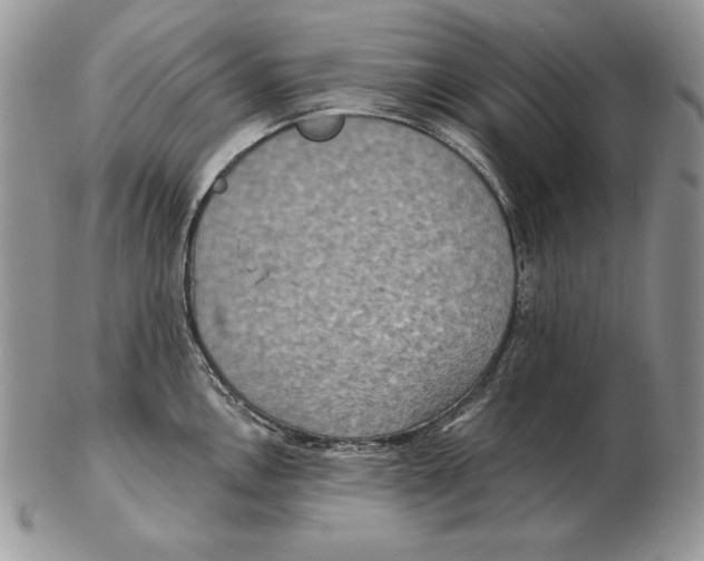 X0000102401146200808221842