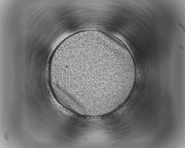 X0000102401147200808221842