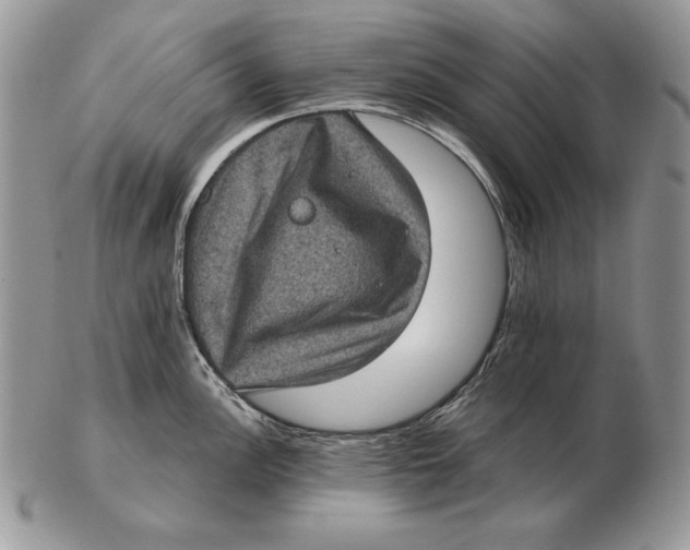 X0000102401148200808221842