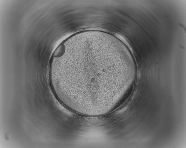 X0000102401149200808221842