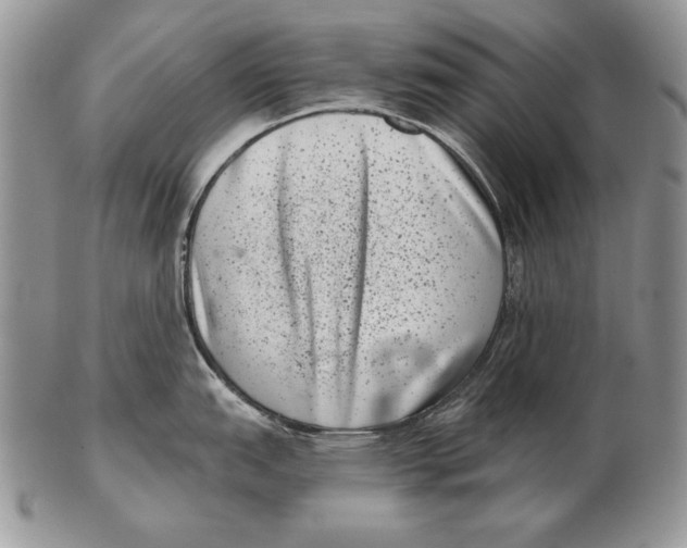 X0000102401151200808221842