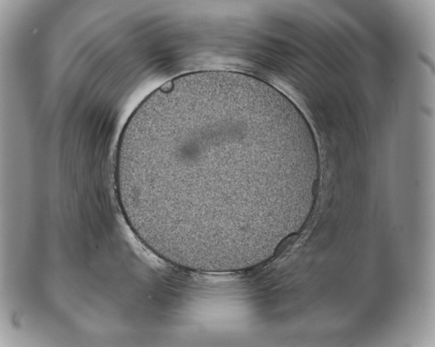 X0000102401152200808221842