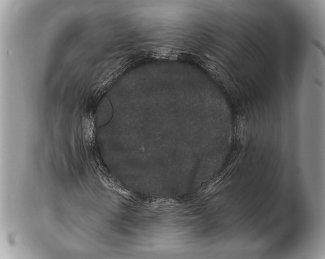 X0000102401154200808221841