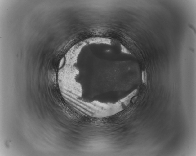 X0000102401155200808221841