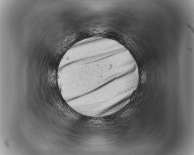 X0000102401156200808221841