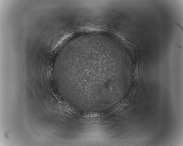 X0000102401157200808221841