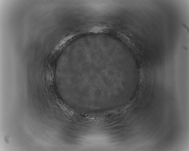 X0000102401158200808221841