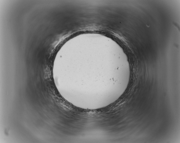 X0000102401160200808221841