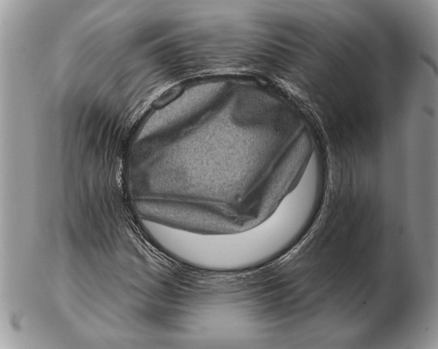 X0000102401161200808221841