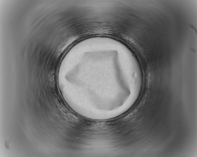 X0000102401162200808221841