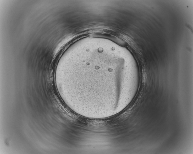 X0000102401164200808221841