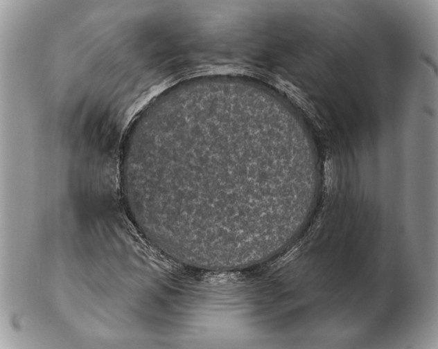 X0000102401165200808221841