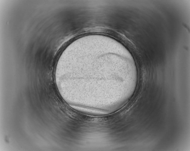 X0000102401166200808221841