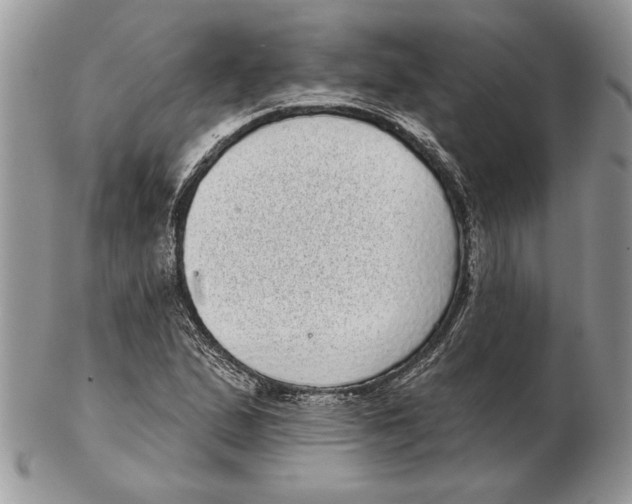 X0000102401167200808221841