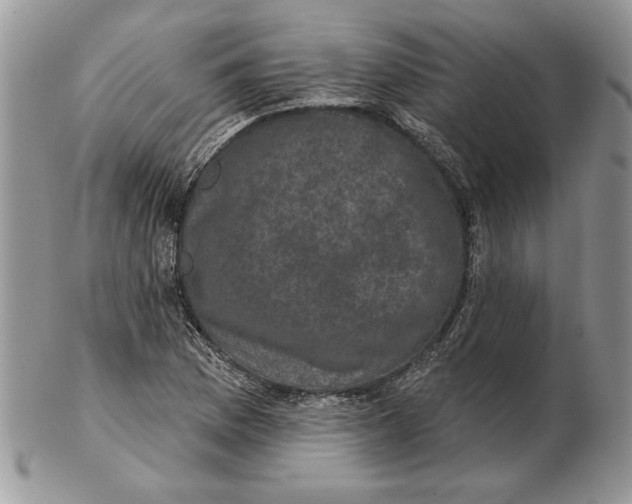 X0000102401169200808221841