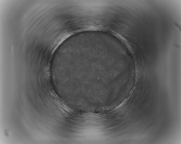 X0000102401170200808221841