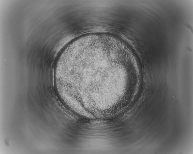 X0000102401171200808221841