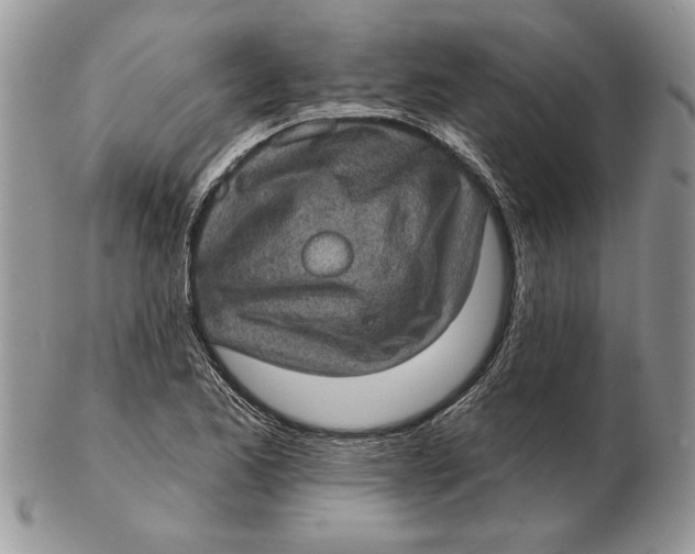 X0000102401173200808221841