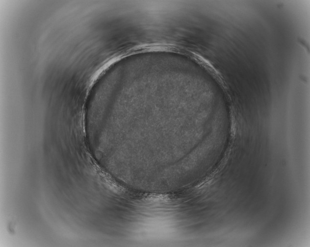 X0000102401174200808221841