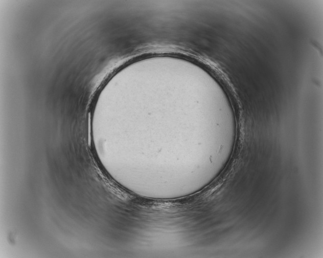 X0000102401175200808221841