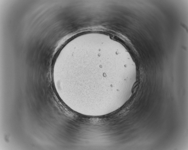 X0000102401176200808221841