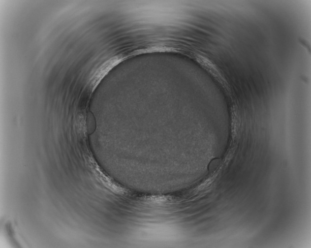 X0000102401177200808221841