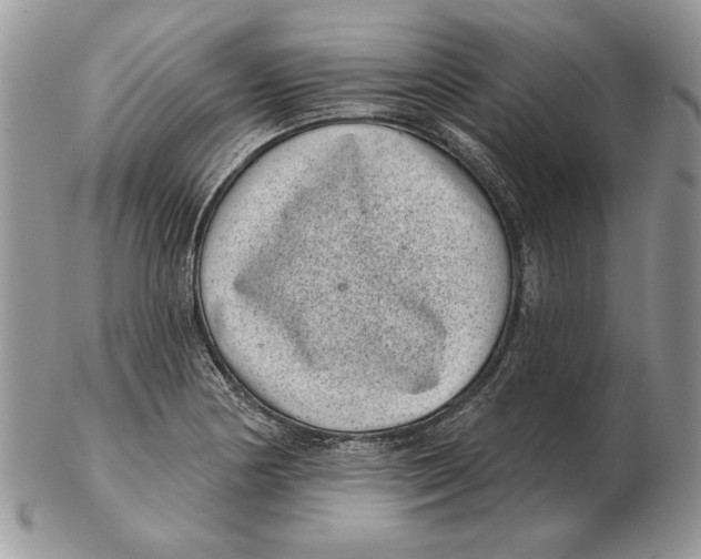 X0000102401178200808221841