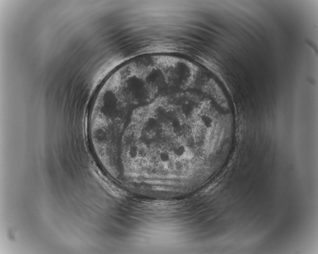 X0000102401179200808221841