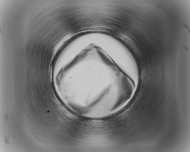 X0000102401180200808221841