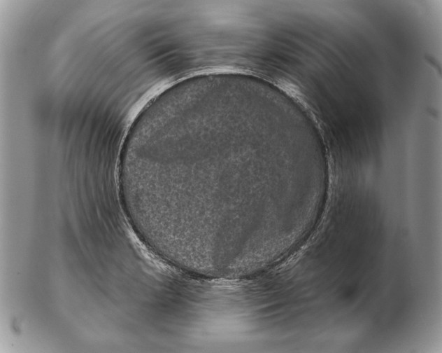 X0000102401181200808221841