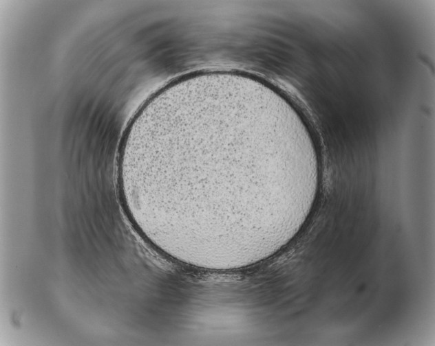 X0000102401183200808221841