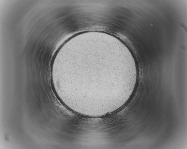 X0000102401184200808221841