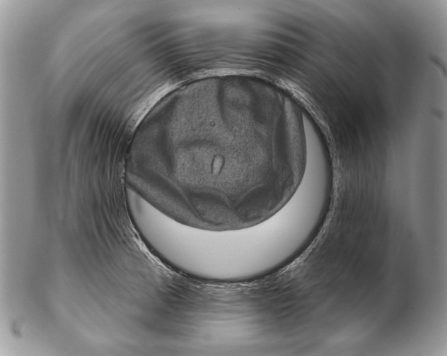 X0000102401185200808221841