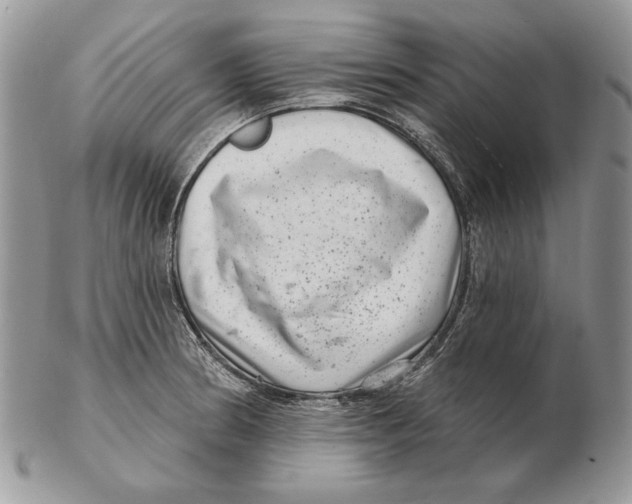 X0000102401186200808221841