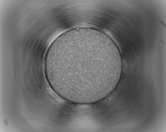 X0000102401187200808221841