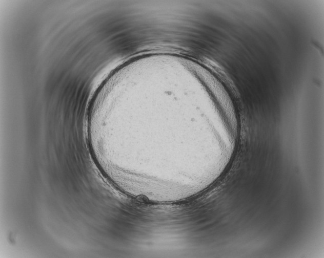 X0000102401188200808221841