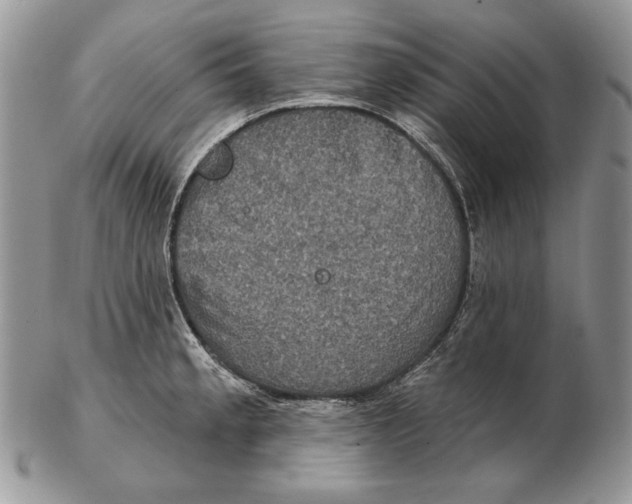 X0000102401189200808221841