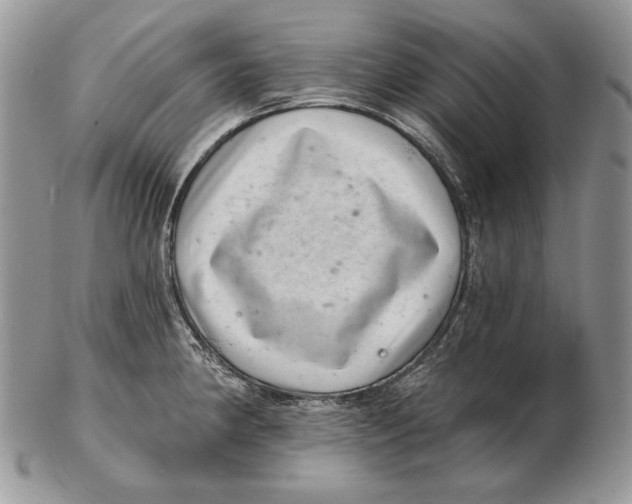 X0000102401190200808221841