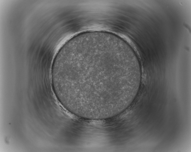 X0000102401191200808221841