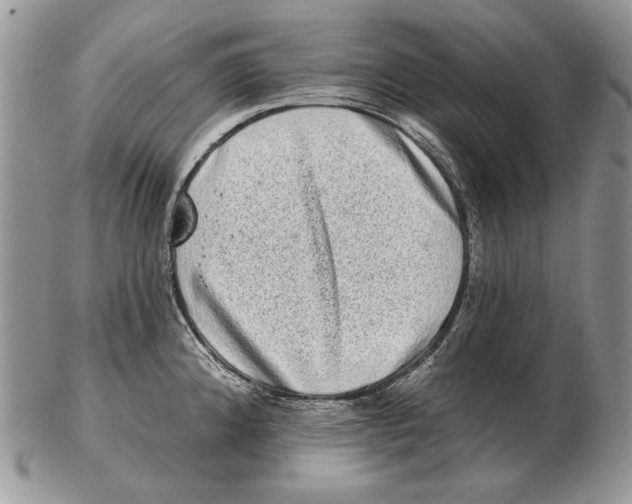 X0000102401192200808221841