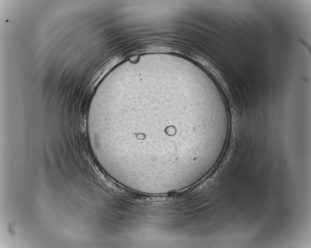 X0000102401193200808221841