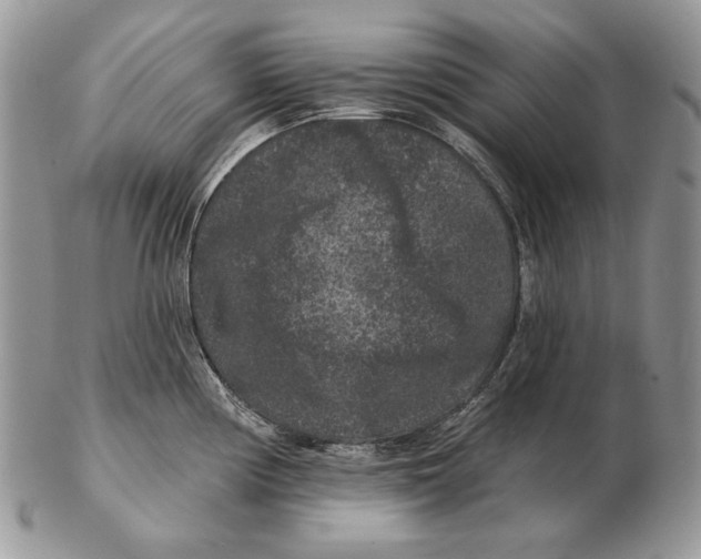 X0000102401194200808221841