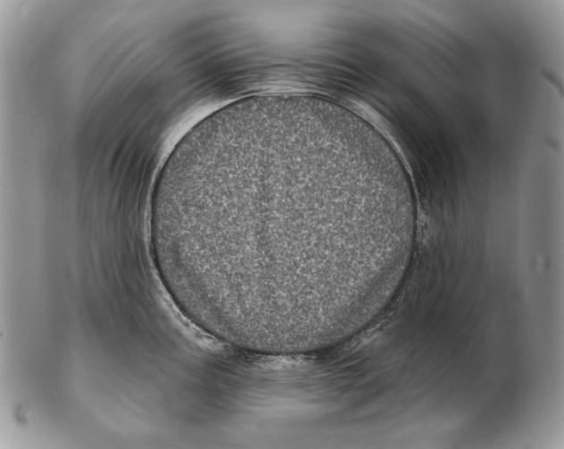 X0000102401195200808221841