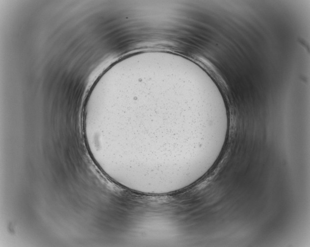 X0000102401196200808221841