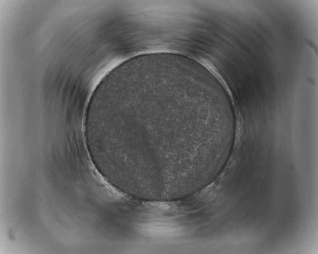 X0000102401197200808221841