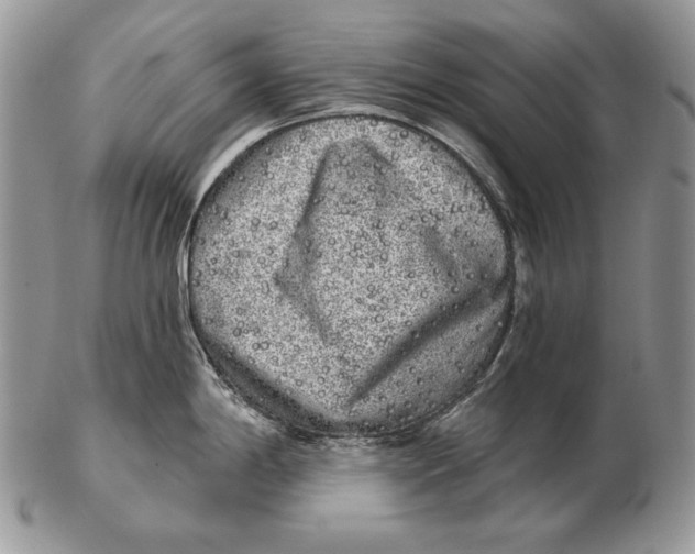 X0000102401198200808221841