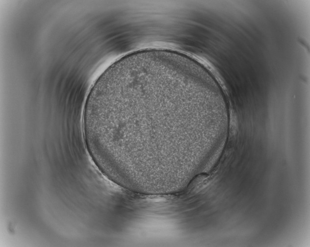 X0000102401199200808221841